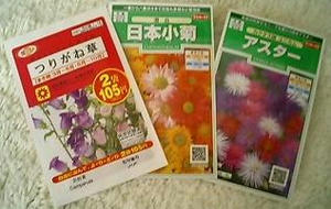 akisaki_tane0522.jpg