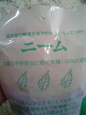 nimu0708.JPG