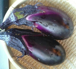 nasu0715.JPG