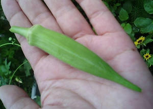 okura0726.JPG