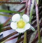 ws0804.jpg