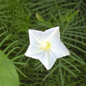 rukousou0822.JPG