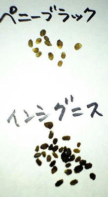 ceea970e.jpeg