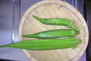 okura0907.JPG
