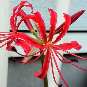 heganbana0918.JPG