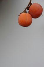 IMGP0525Ss.jpg