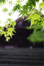 IMGP0134s.jpg