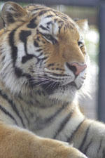 IMGP8558s.jpg