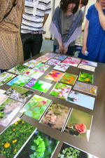 IMG_5925s.jpg
