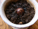 DSC02631.jpg