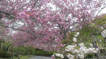 2011-05-05_12-08-44.jpg