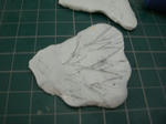 CIMG3086.jpg