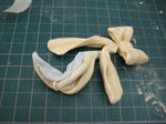 CIMG3105.jpg