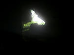 壁面に開いた穴から山の緑が見える・・・