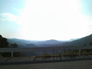 f449f181.jpg