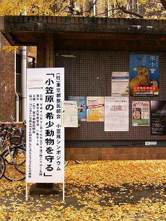 シンポジウム