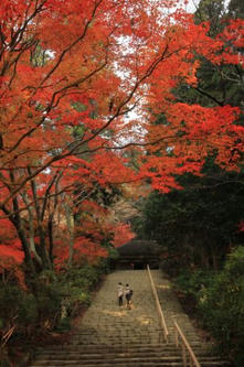 室生寺の若い二人