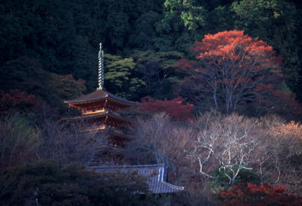 長谷寺の紅葉