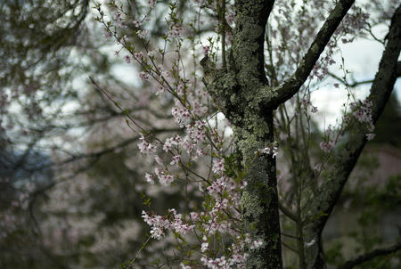 L1000386.jpg