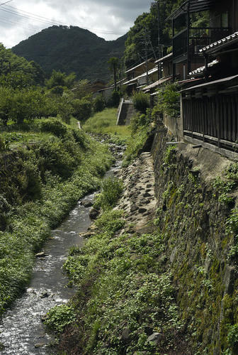L1002543.jpg