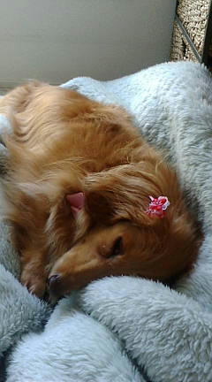 20100517132741.jpg