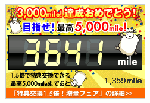 ネットマイル得キャンペーン_20091029