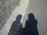 CIMG0511.JPG