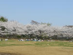 山崎公園