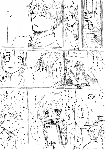 c010.gif