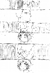 c015.gif