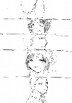 c016.gif