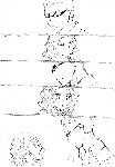 c018.gif