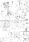 c024.gif