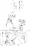 c028.gif