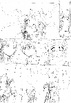c029.gif