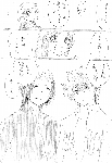 c030.gif