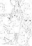 c032.gif
