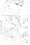 c034.gif