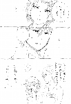 c035.gif