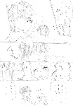 c036.gif