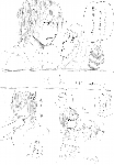 c037.gif
