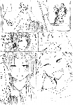 c040.gif