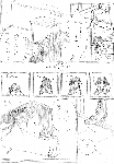 c047.gif