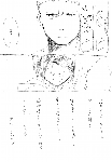 c051.gif