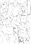 c052.gif