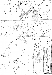 c053.gif