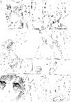 c056.gif