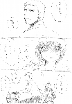 c058.gif