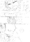 c066.gif