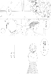 58790789.gif